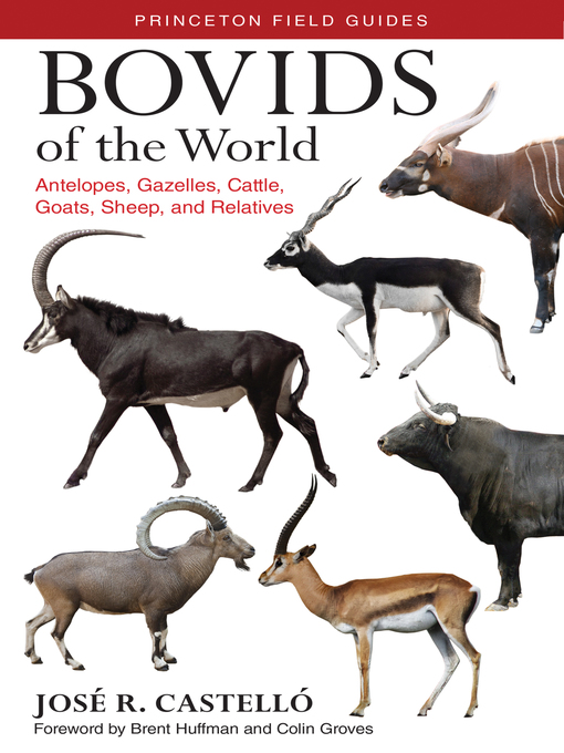 Upplýsingar um Bovids of the World eftir José R. Castelló - Biðlisti
